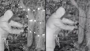Odia le luci di Natale, donna anziana si intrufola nel giardino del vicino per tagliarle