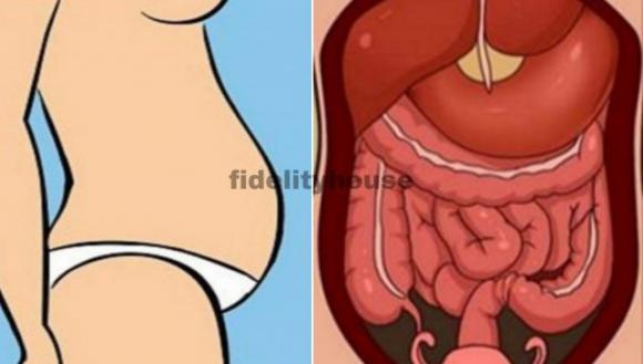 Pancia gonfia addio: le cause più comuni e 7 rimedi naturali per ritrovare il benessere